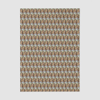 Papel De Seda Colaje de Fotos Personalizadas