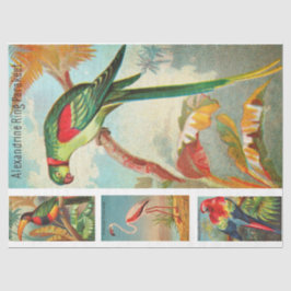 Papel De Seda Colección Birds Parakeet 2a Decoupage