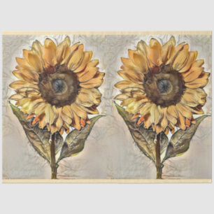 Papel De Seda Colección de 2 elegantes acuarelas de lujo