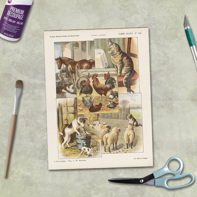 Papel De Seda Colección de animales de la granja tame Desenlace  (Subido por el creador)