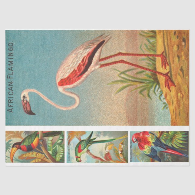 Papel De Seda Colección de aves Flamingo 2c Decografía de época (Anverso)