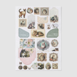 Papel De Seda Colección de Ephemera Temática de Gatos de Estilo