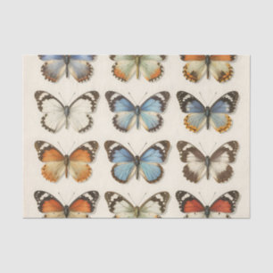 Papel De Seda Colección de especímenes de mariposas vintage
