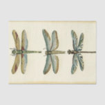 Papel De Seda Colección de libélula por Chariklia Zarris<br><div class="desc">Colección de libélula digna de cualquier curioso fango de la naturaleza,  esta es una impresionante pieza de Chariklia Zarris. ¡Póngalo en tu pared o dáselo como regalo!</div>