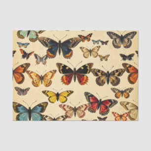 Papel De Seda Colección de Mariposas Vintage en Patrón