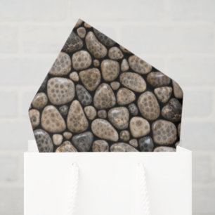 Papel De Seda Colección de Piedras Petoskey de Michigan Pulidas