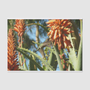 Papel De Seda Colibrí de Garganta Negra en Vuelo
