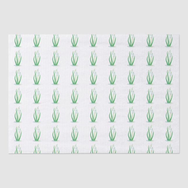 Papel De Seda Colirio de primavera (Galanthus nivalis) blanco (Anverso)