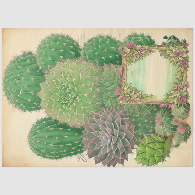 Papel De Seda Collage de Cactus Plant Ephemera Art No7 (Anverso)