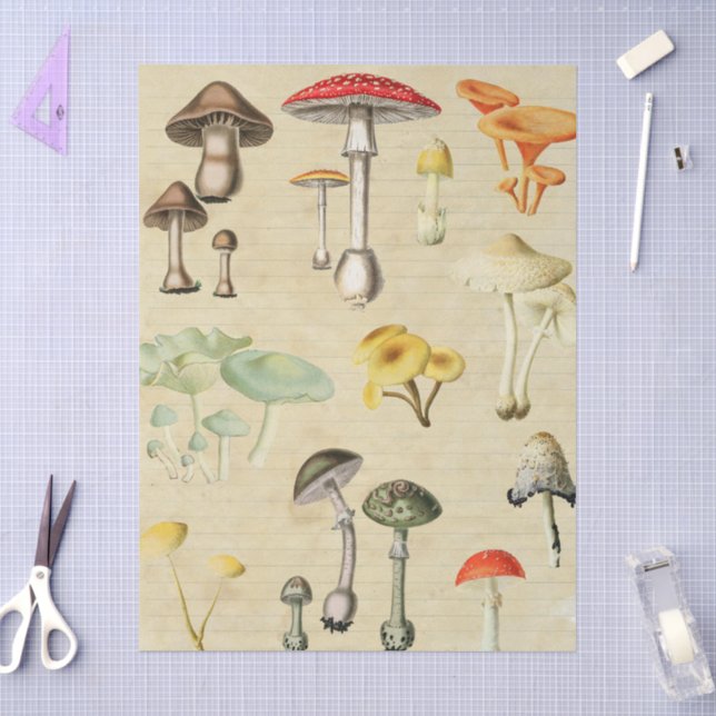 Papel De Seda Collage de hongos (Artesanía)