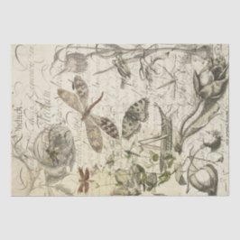 Papel De Seda Collage de la naturaleza