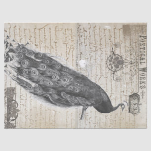 Papel De Seda Collage de las Ephemeras del pavo real