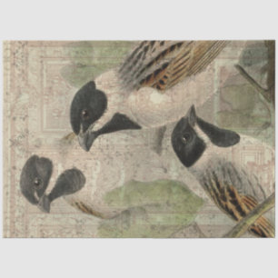 Papel De Seda Collage de pájaros de cosecha