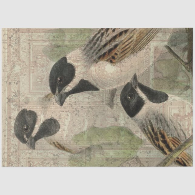 Papel De Seda Collage de pájaros de cosecha (Anverso)