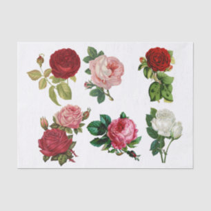 Papel De Seda Collage de Rosas