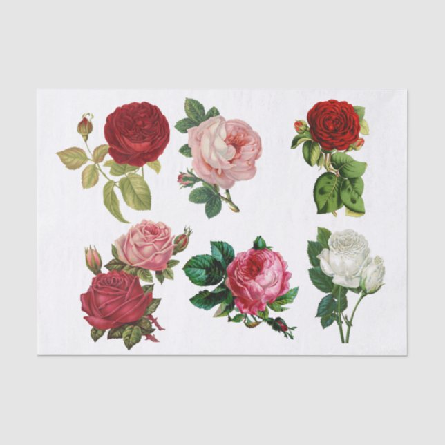 Papel De Seda Collage de Rosas (Anverso)