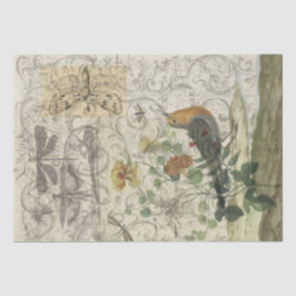 Papel De Seda Collage del pájaro