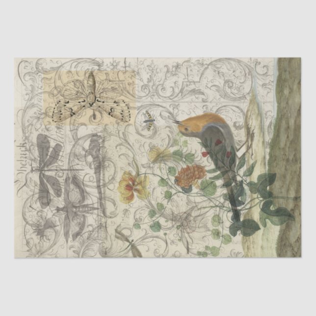 Papel De Seda Collage del pájaro (Anverso)