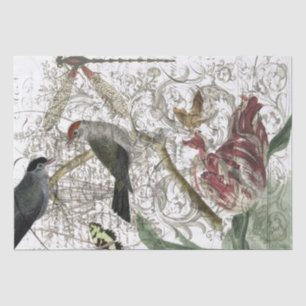 Papel De Seda Collage del pájaro