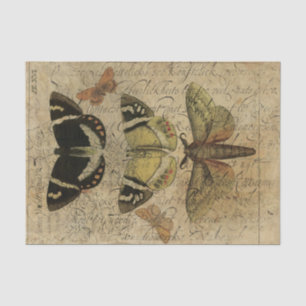 Papel De Seda Collage No.501 del insecto