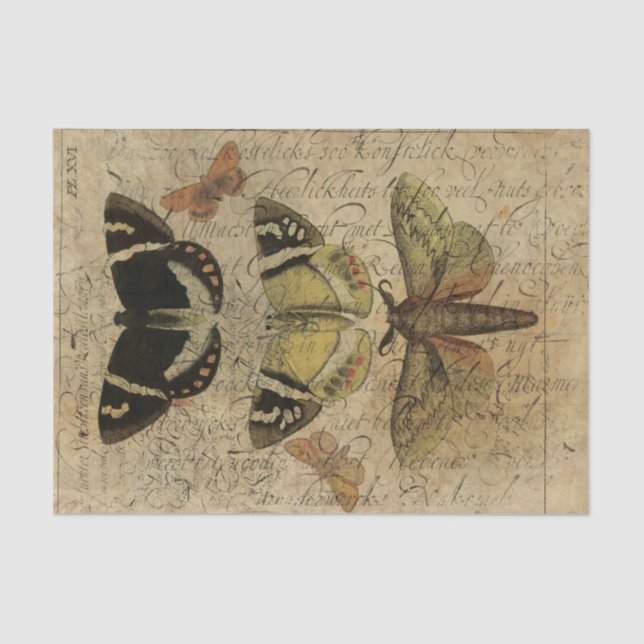 Papel De Seda Collage No.501 del insecto (Anverso)