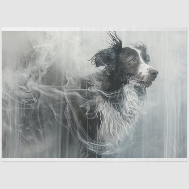 Papel De Seda Collie de borde en una nube de desahogo de humo (Anverso)
