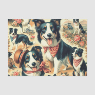 Papel De Seda Collie de borde suave sin soldadura