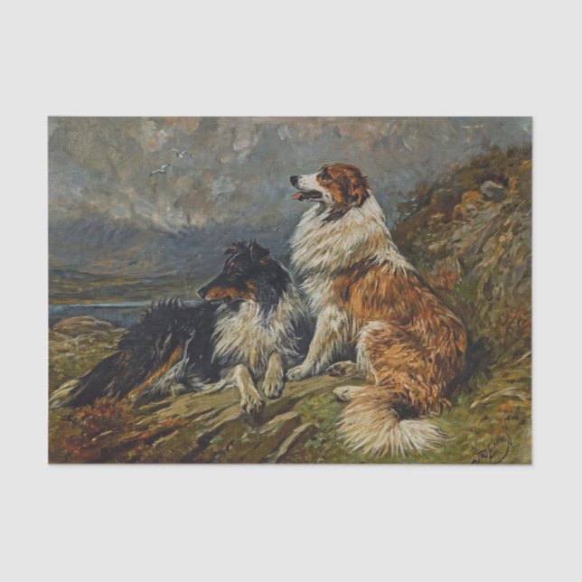 Papel De Seda Collies on the Moor por John Emms (Anverso)