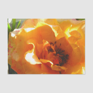 Papel De Seda Color de rosa anaranjado bonito