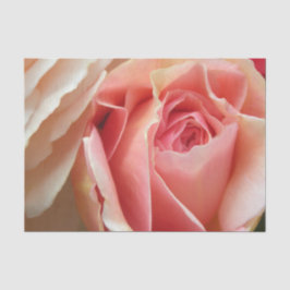 Papel De Seda Color de rosa en colores pastel perfecto