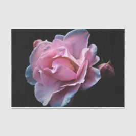 Papel De Seda Color de rosa rosado magnífico en negro