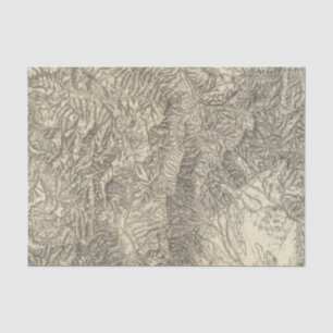 Papel De Seda Colorado 2