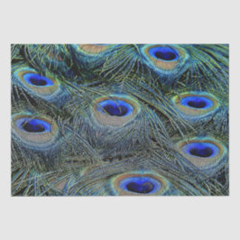 Papel De Seda Colores brillantes Paquetes Peacock Feathers Blue