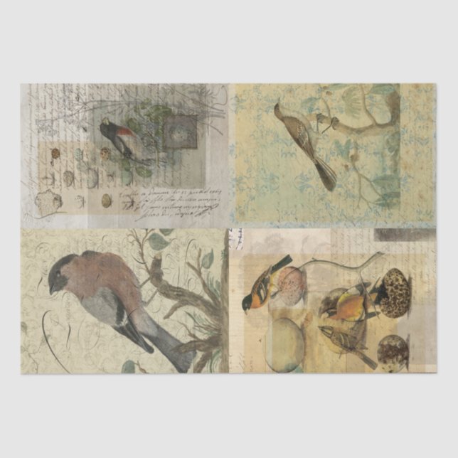Papel De Seda Colores de aves de época (Anverso)