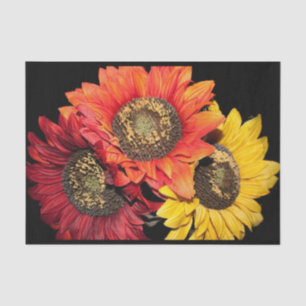 Papel De Seda Colores vibrantes de girasoles, rojo, Naranja y am