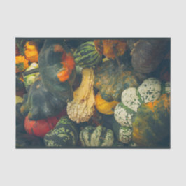 Papel De Seda Coloridas calabazas y calabazas otoñales