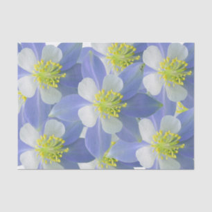 Papel De Seda Columbine 2