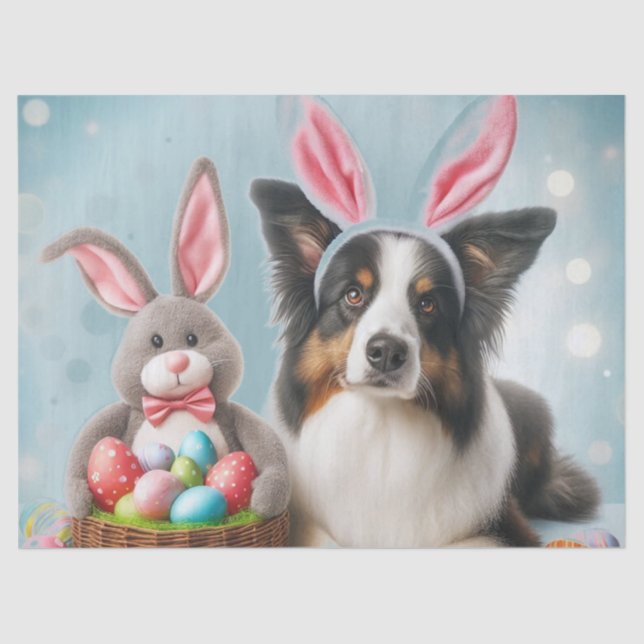 Papel De Seda Comer Bunny and Border Collie Dog (Anverso)