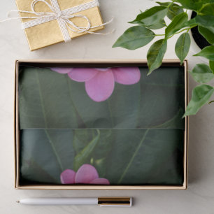 Papel de seda con foto de Plumria Rosa