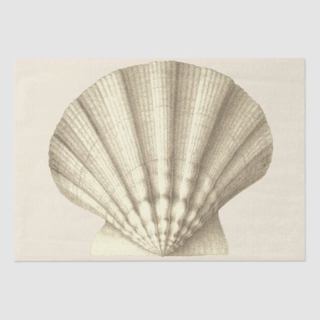 Papel De Seda Concha Beige Vintage moderna (Anverso)