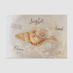 Papel De Seda Concha de mar vintage antigüedad océano playa efím