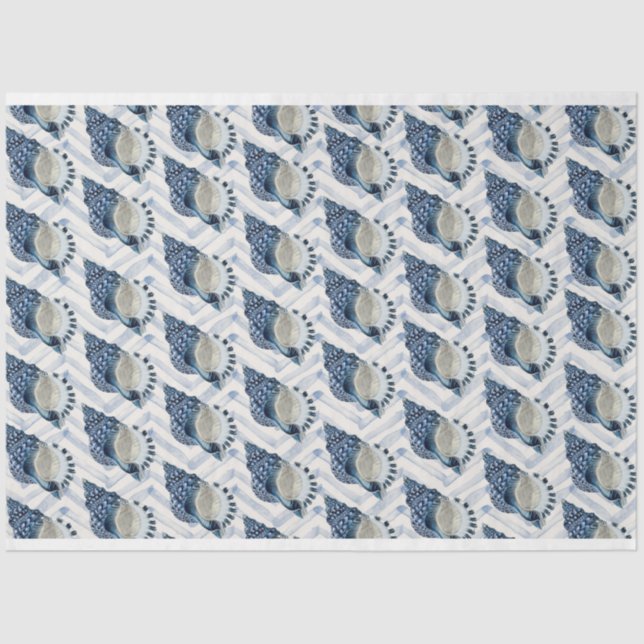 Papel De Seda Conchas de cerco azul en chevron bkgrad (Anverso)