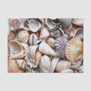 Papel De Seda Conchas de Mar Playa Océano Hermoso Decoupage