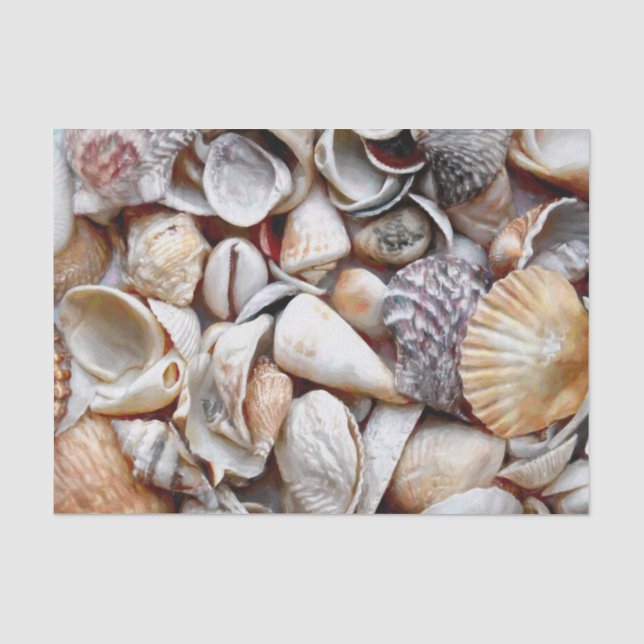 Papel De Seda Conchas de Mar Playa Océano Hermoso Decoupage (Anverso)