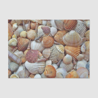 Papel De Seda conchas marinas