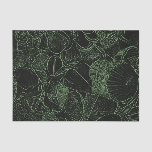 Papel De Seda Conchas marinas Ocean Beach Green Sketch (Anverso)