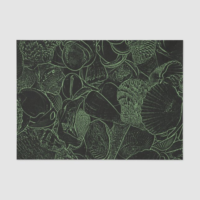 Papel De Seda Conchas Marinas Playa Océano Verde Negro Boceto (Anverso)