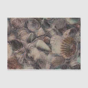 Papel De Seda Conchas marinas vintage Metallic Ocean Beach Decou