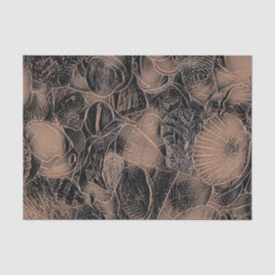 Papel De Seda Conchas Playa Océano Vintage Negro Sepia Arte