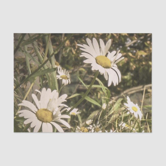 Papel De Seda Condolencia del perro con las margaritas amarillas (Anverso)